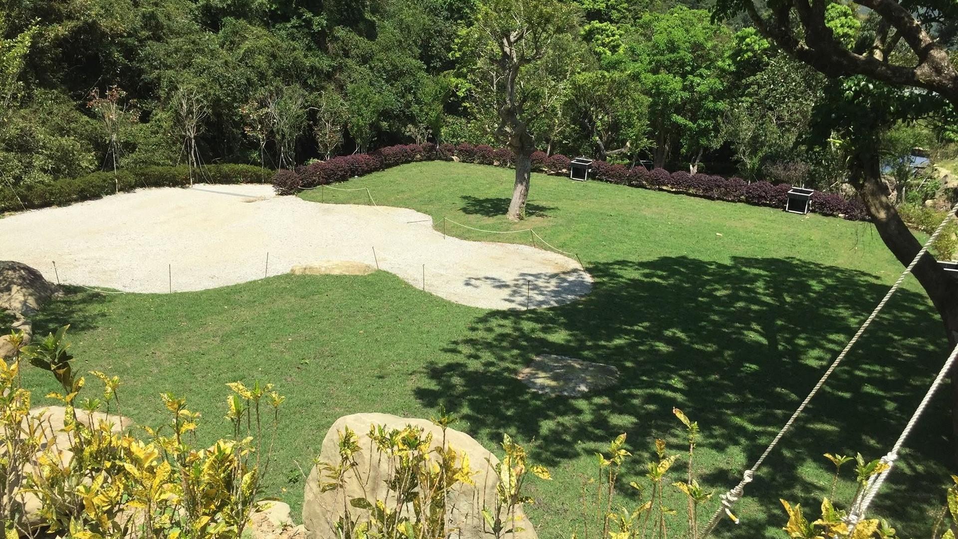 Planted trees against the mountain ridge